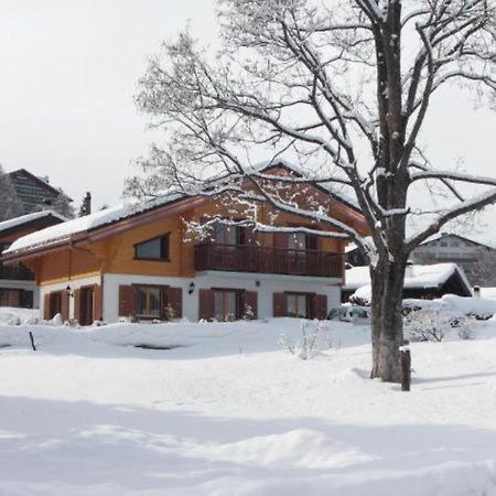 Chalet Griffon Nendaz Εξωτερικό φωτογραφία