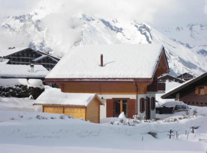 Chalet Griffon Nendaz Εξωτερικό φωτογραφία