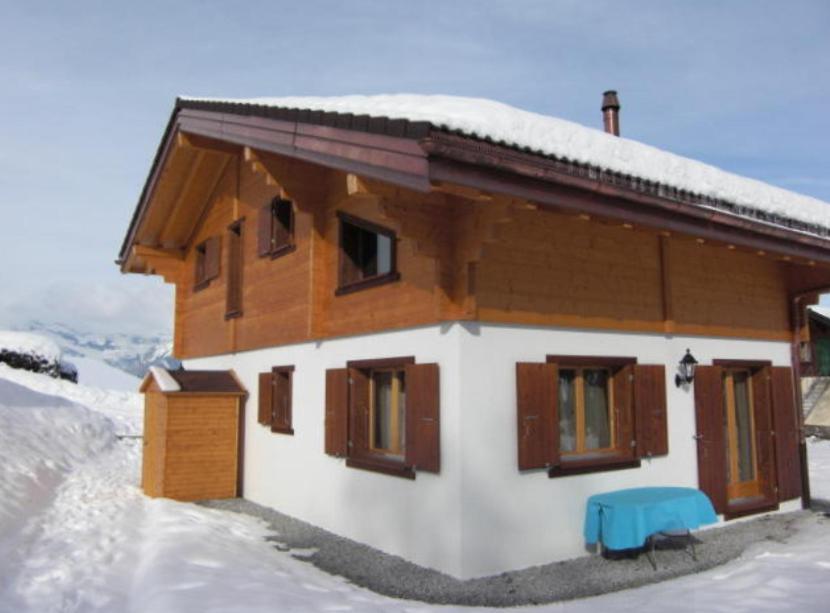 Chalet Griffon Nendaz Εξωτερικό φωτογραφία